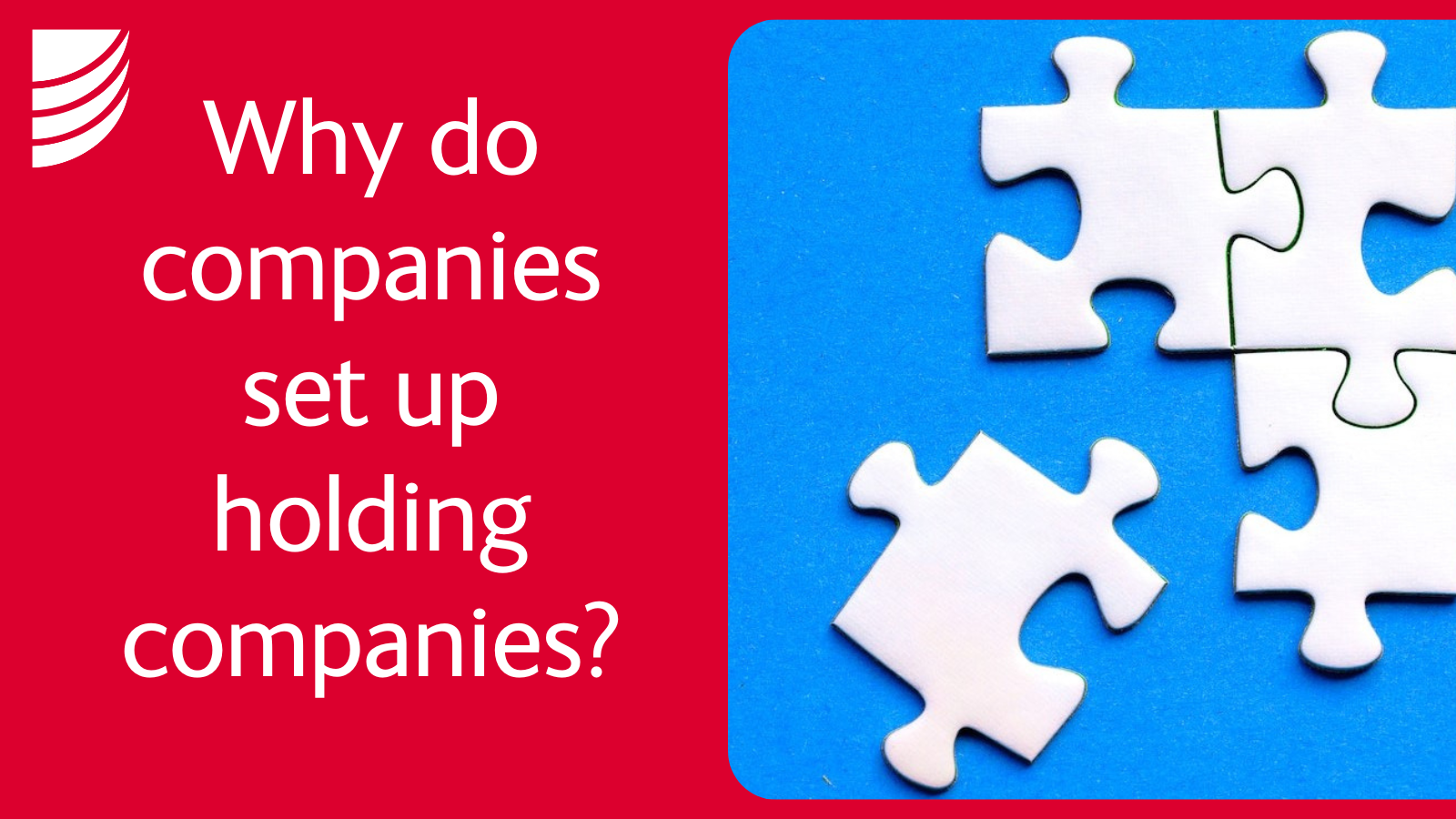 why-do-companies-set-up-holding-companies-pros-and-cons